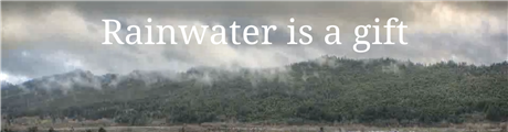 Banner Picture